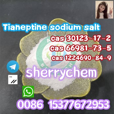 Tianeptine Sodium Salt CAS 30123-17-2 