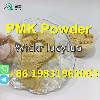 Pure new pmk powder door to door Canada 28578-16-7
