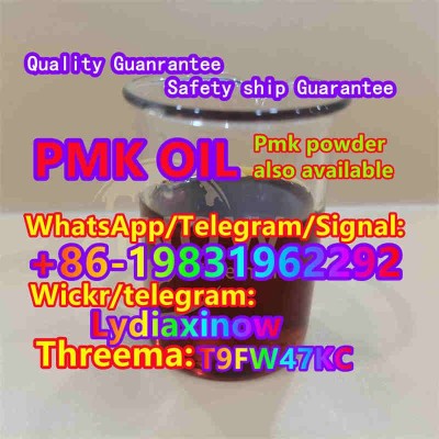 PMK oil Chinese PMK Factory PMK/BMK Chemical price