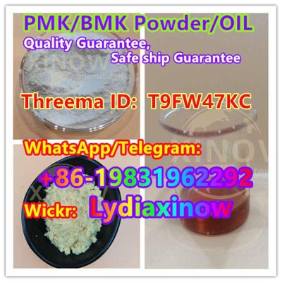 BMK glycidate,bmk powder supplier China  5449127