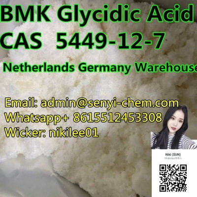 CAS 5449-12-7Bmk GlycidicAcid admin@senyi-chem.com