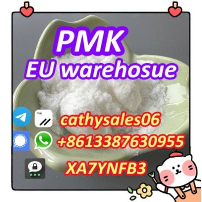 wholesales price CAS 28578-16-7 pmk powder factory