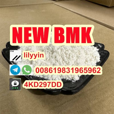 5449-12-7, High Purity BMK Powder