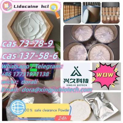 73-78-9 lidocaine hcl raw material best selling