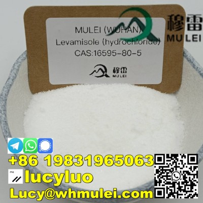 Levamisole hydrochloride cas16595-80-5