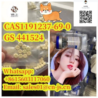 chinese suppier CAS1191237-69-0 GS 441524