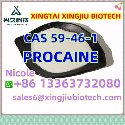 White Powder Procaine Base CAS 59-46-1 Procaine From Factory in Stocks