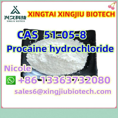 100% delivery Tetracaine Hydrochloride CAS 136-47-0 with China factory