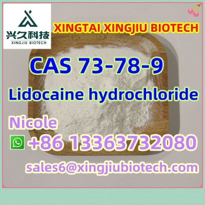 CAS：73-78-9  Benzocaine Lidocaine Xylocaine Lidocaine HCl Lidocaine Hydrochloride Tetracaine HCl Tetracaine Hydrochloride Saf