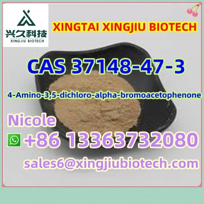 Chinese High Purity 4-Amino-3, 5-Dichloro-Alpha-Bromoacetophenone CAS 37148-47-3/37148-48-4