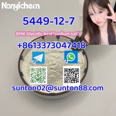 5449-12-7	                BMK Glycidic Acid (sodium salt)