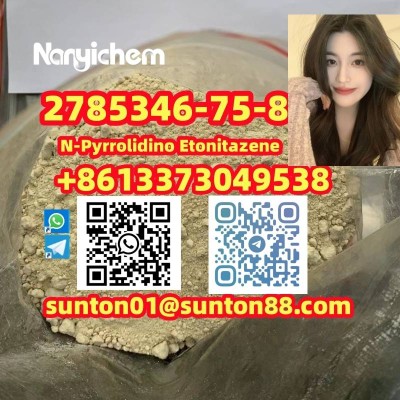 2785346-75-8	N-Pyrrolidino Etonitazene  2785346-75-8	N-Pyrrolidino Etonitazene