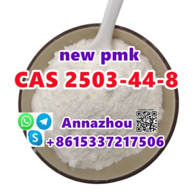 New PMK Powder Cas 2503-44-8 with Fast and Safe Delivery 