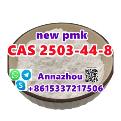 New PMK Powder Cas 2503-44-8